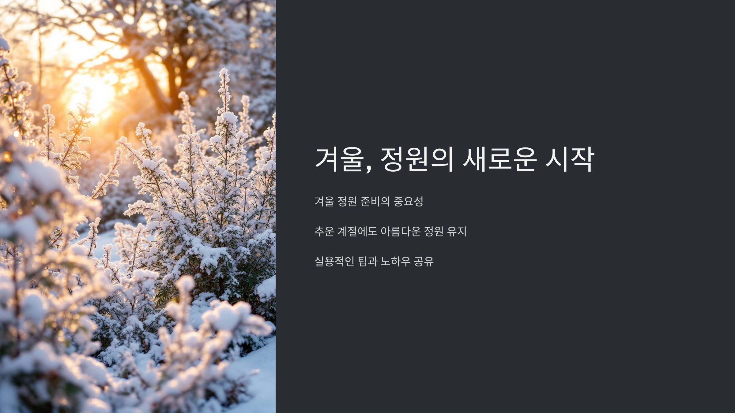 겨울 정원 준비 : 추위에도 아름다운 정원