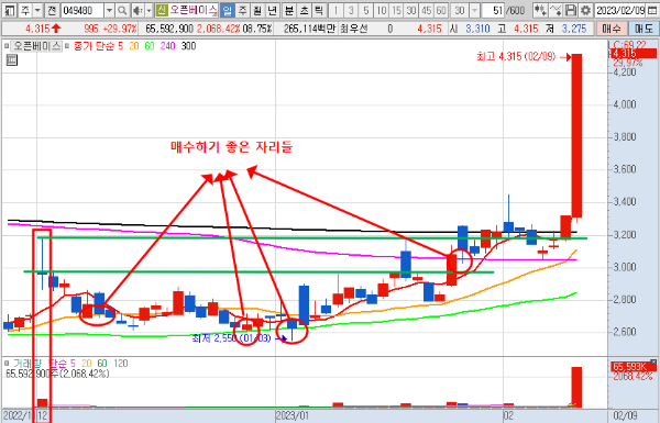 2월 9일 오픈베이스 일봉 차트