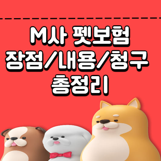 애완 동물 보험애완 동물 보험개 보험고양이 보험