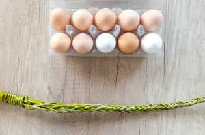삶은계란 칼로리 효능 다이어트 🍳 - 🥚계란의 효능 - 시력 강화 삶은계란 칼로리 효능 다이어트