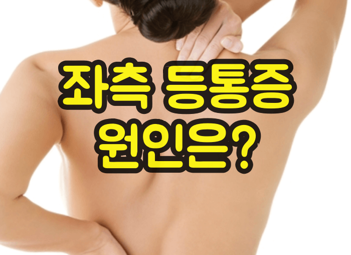 좌측 등통증 원인