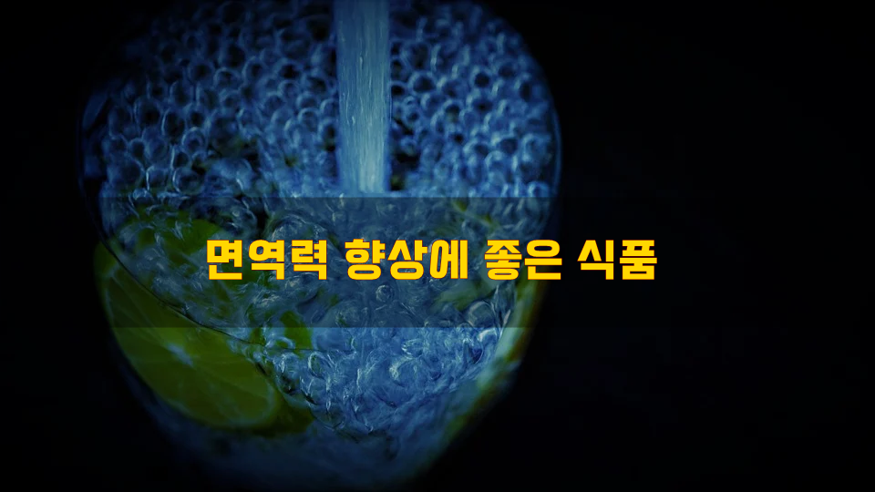  면역력 향상에 좋은 식품