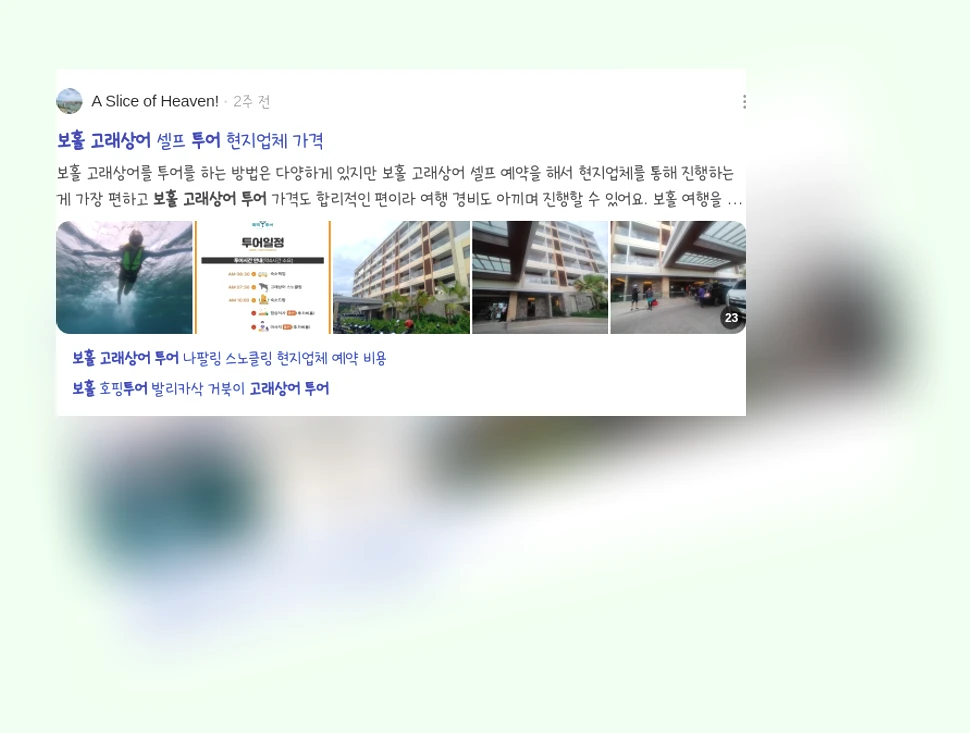 보홀 고래상어 투어_3_subsection