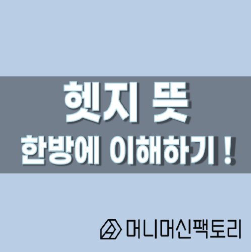  헷지 뜻, 한방에 이해하기