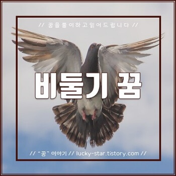  【꿈해몽/꿈풀이】 비둘기 꿈