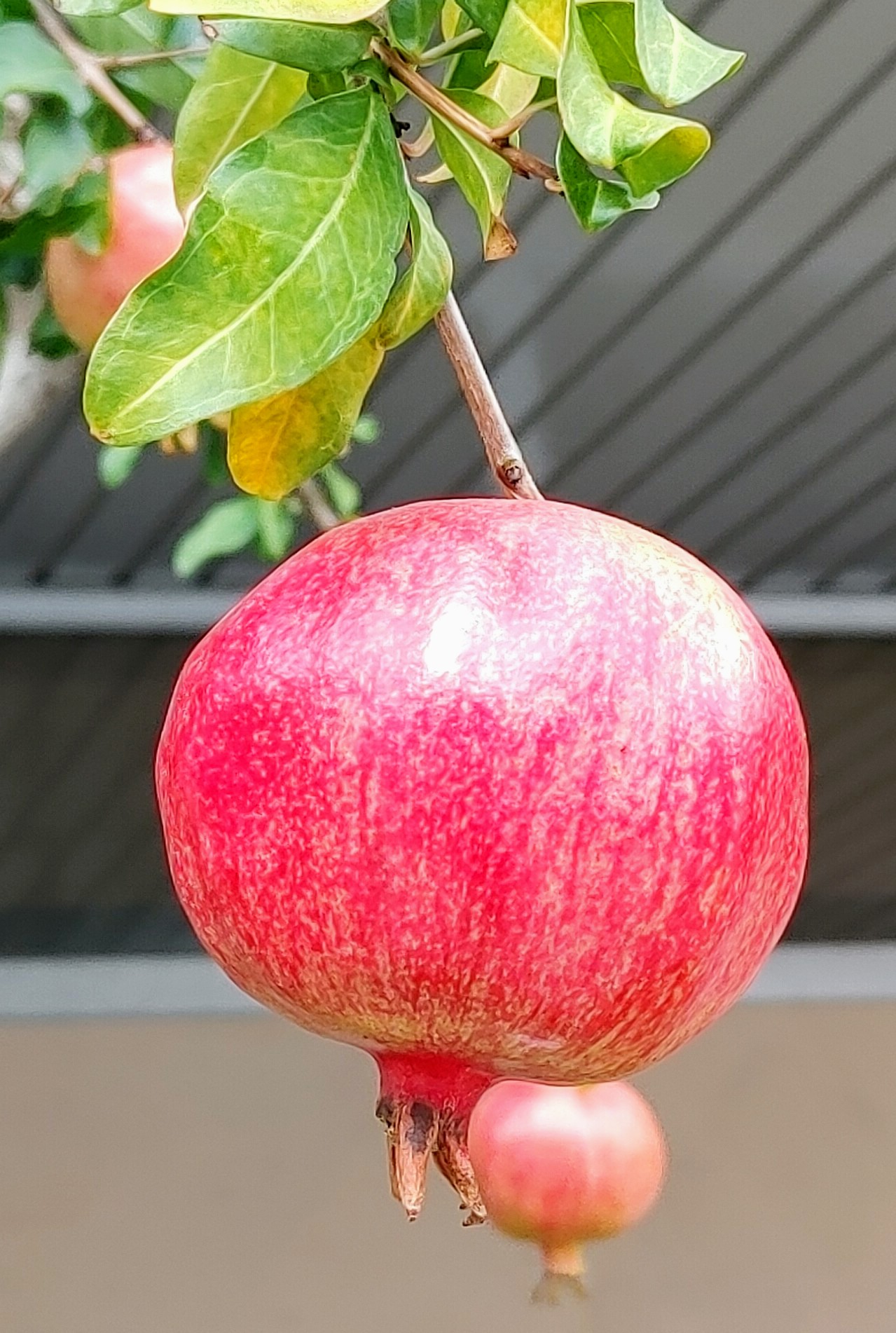 img.jpg