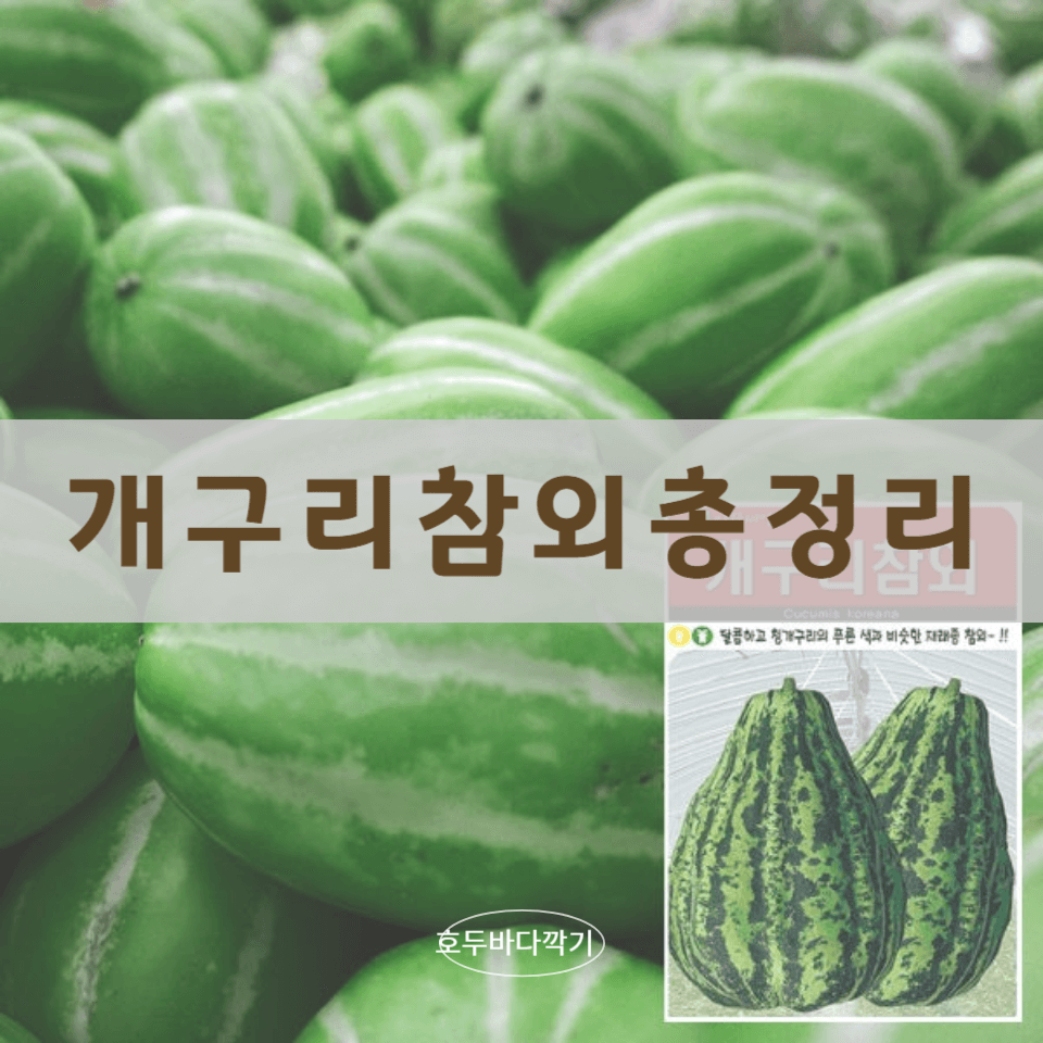 개구리-참외-효능에-대한-사진