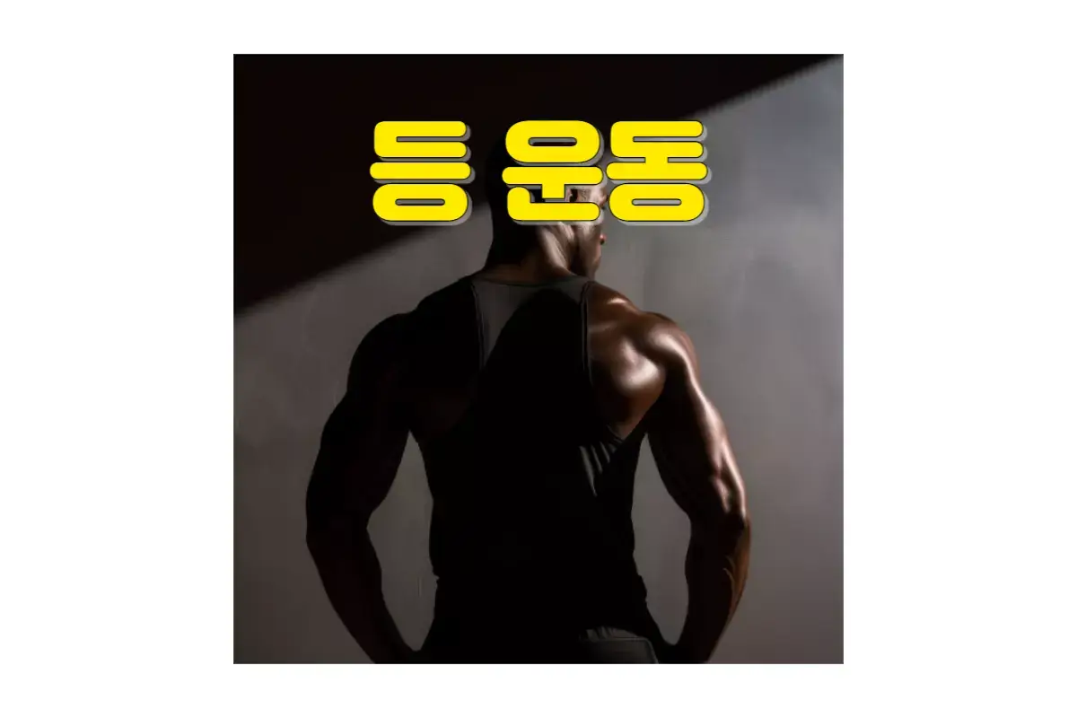  남자 여자 헬린이 초보자를 위한 "등" 운동 루틴 : 기본원칙, 운동 분류, 종류, 자기만의 루틴 만드는 법