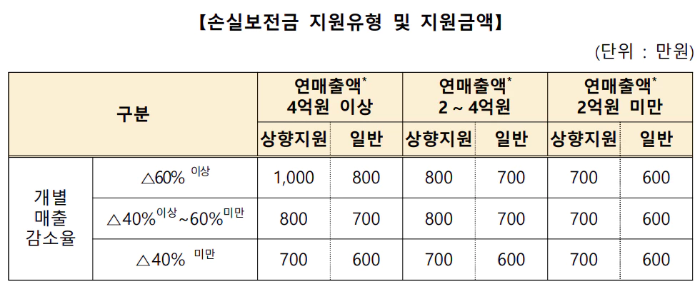 손실보전금