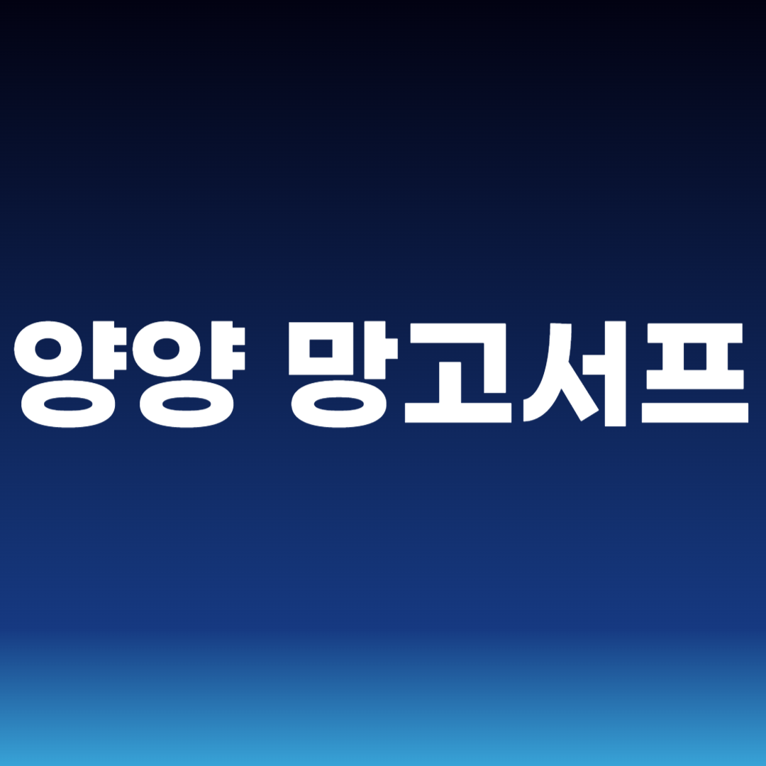 양양 망고서프