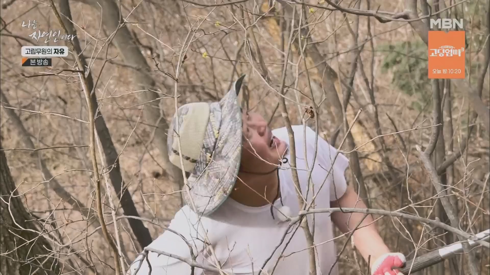 나는 자연인이다.E549.230412p.H264-F1RST.mp4_20230413_213208.735.jpg