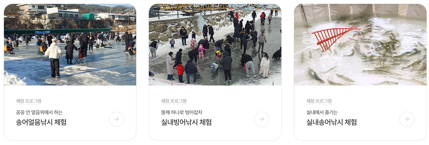 체험 프로그램