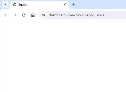SAP Kyma Dashboard에 접속 안되는 문제 화면