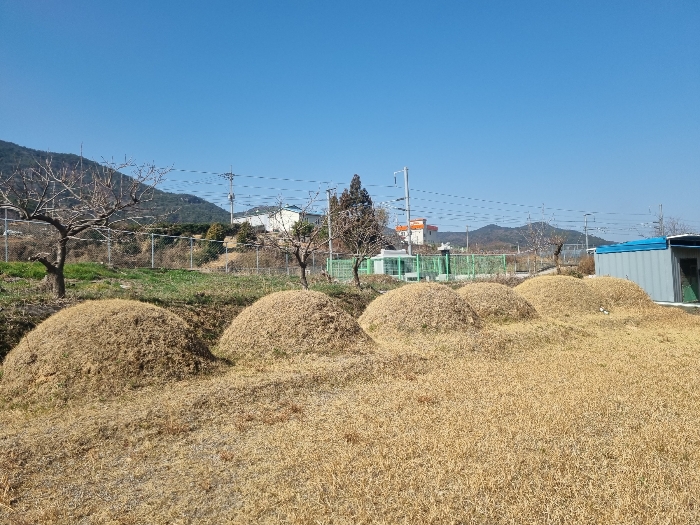 순천지원2022타경51451 [본건 지상 소재 연고미상의 분묘]