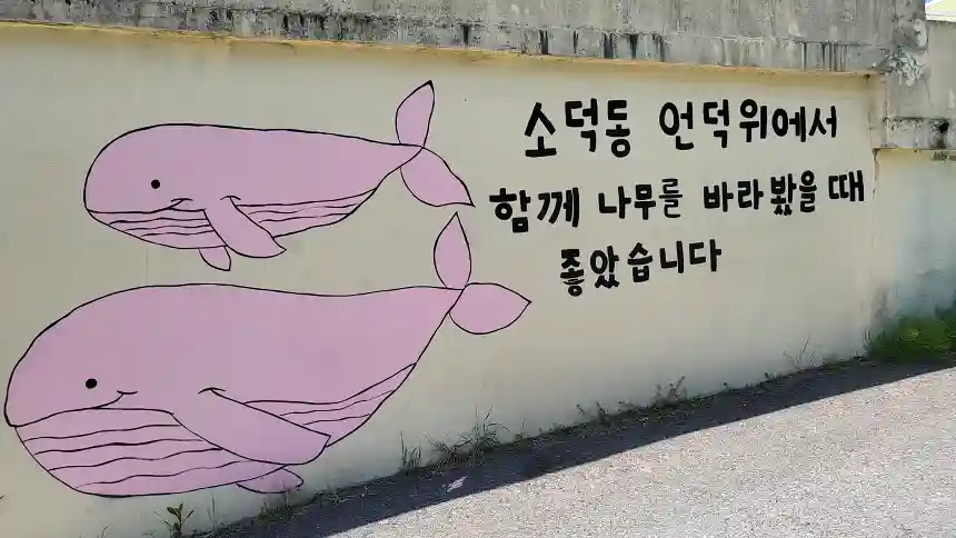 핑크 대왕 고래