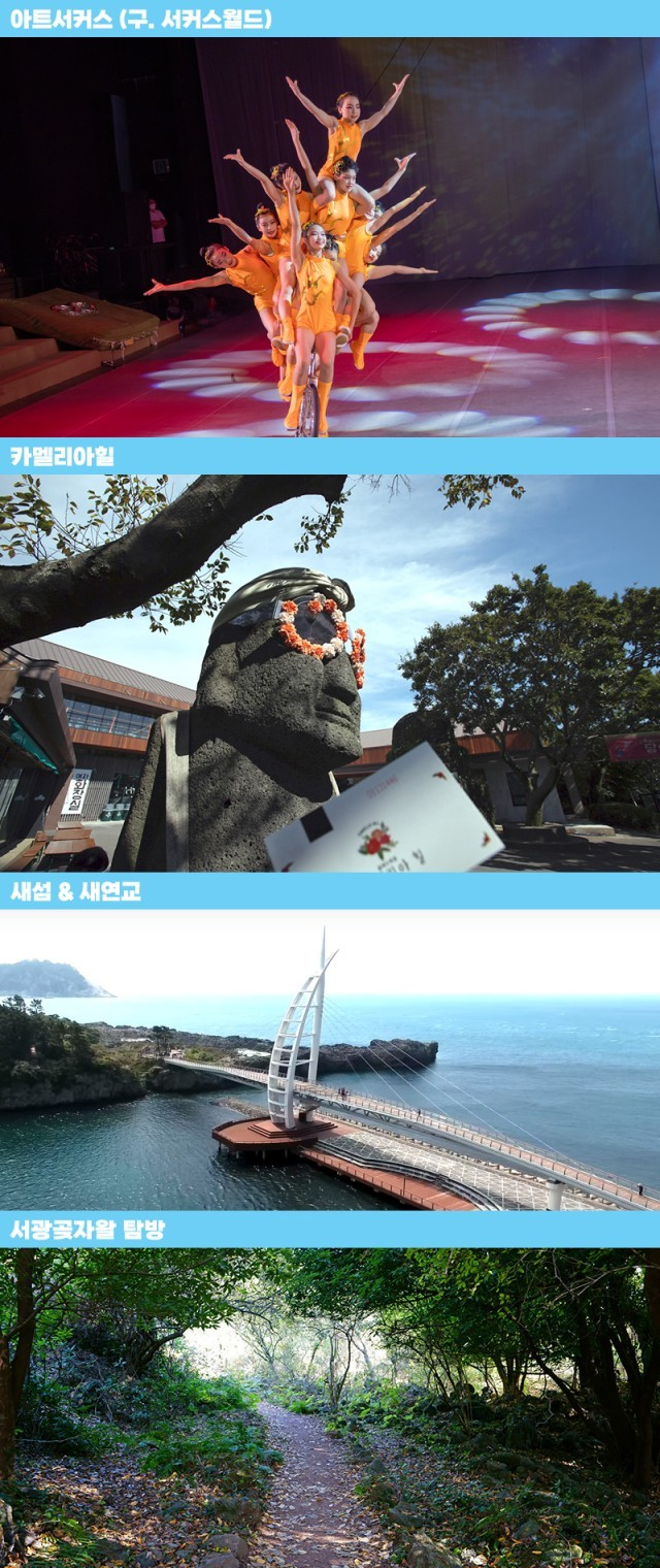 울산제주여행사 이미지