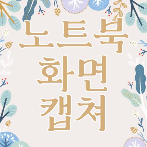 노트북 화면 캡쳐