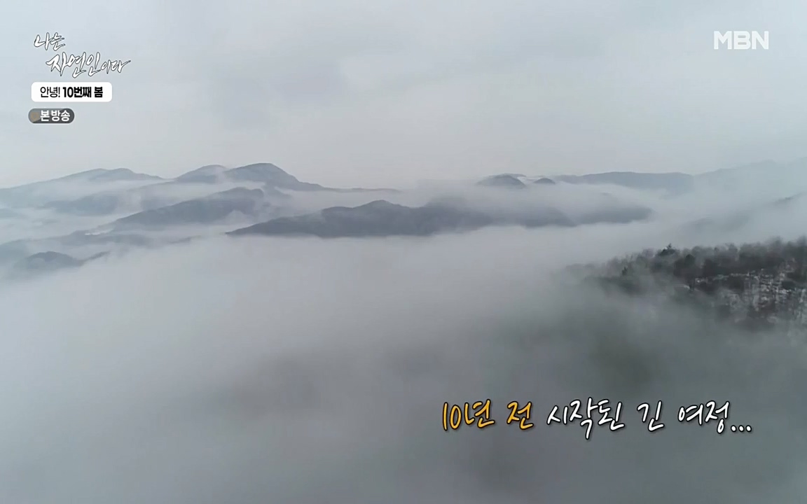 나는 자연인이다.E500.220505p-NEXT.mp4_20220505_180208.039.jpg