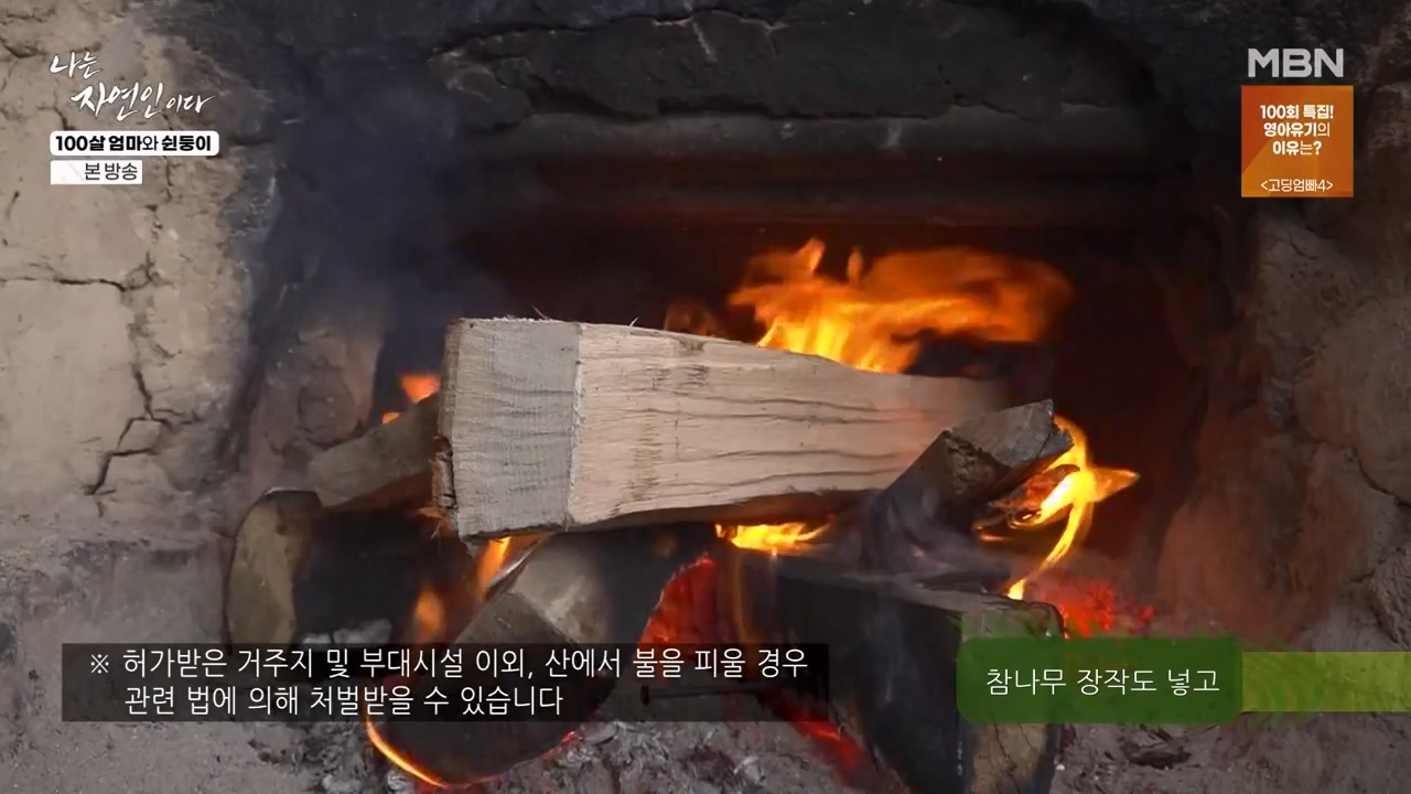 나는 자연인이다.E597.240314p-NEXT.mp4_20240314_195529.269.jpg