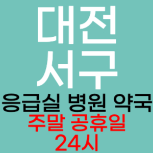 대전 서구 주말 공휴일 약국 병원 응급실 찾기 토요일 일요일 야간진료 24시 열린약국 영업시간 진료시간