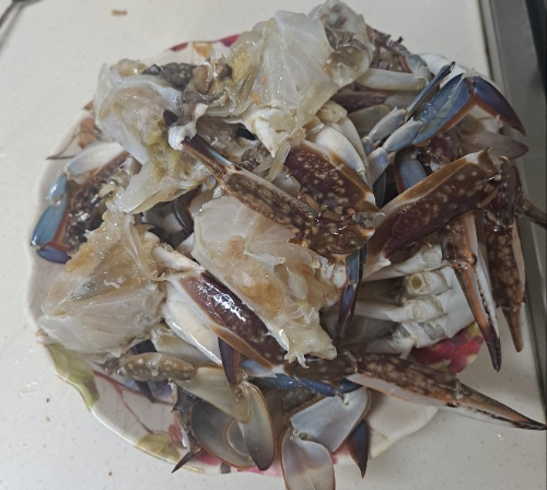꽃게 손질