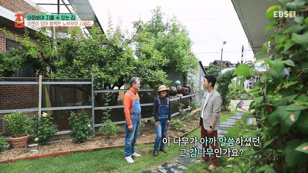 TV - 전 국민의 평생학교 EBS아파봐야 지을 수 있는 집.mp4_20230816_212617.794.jpg