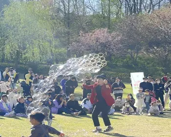 피나클랜드 불꽃축제_13