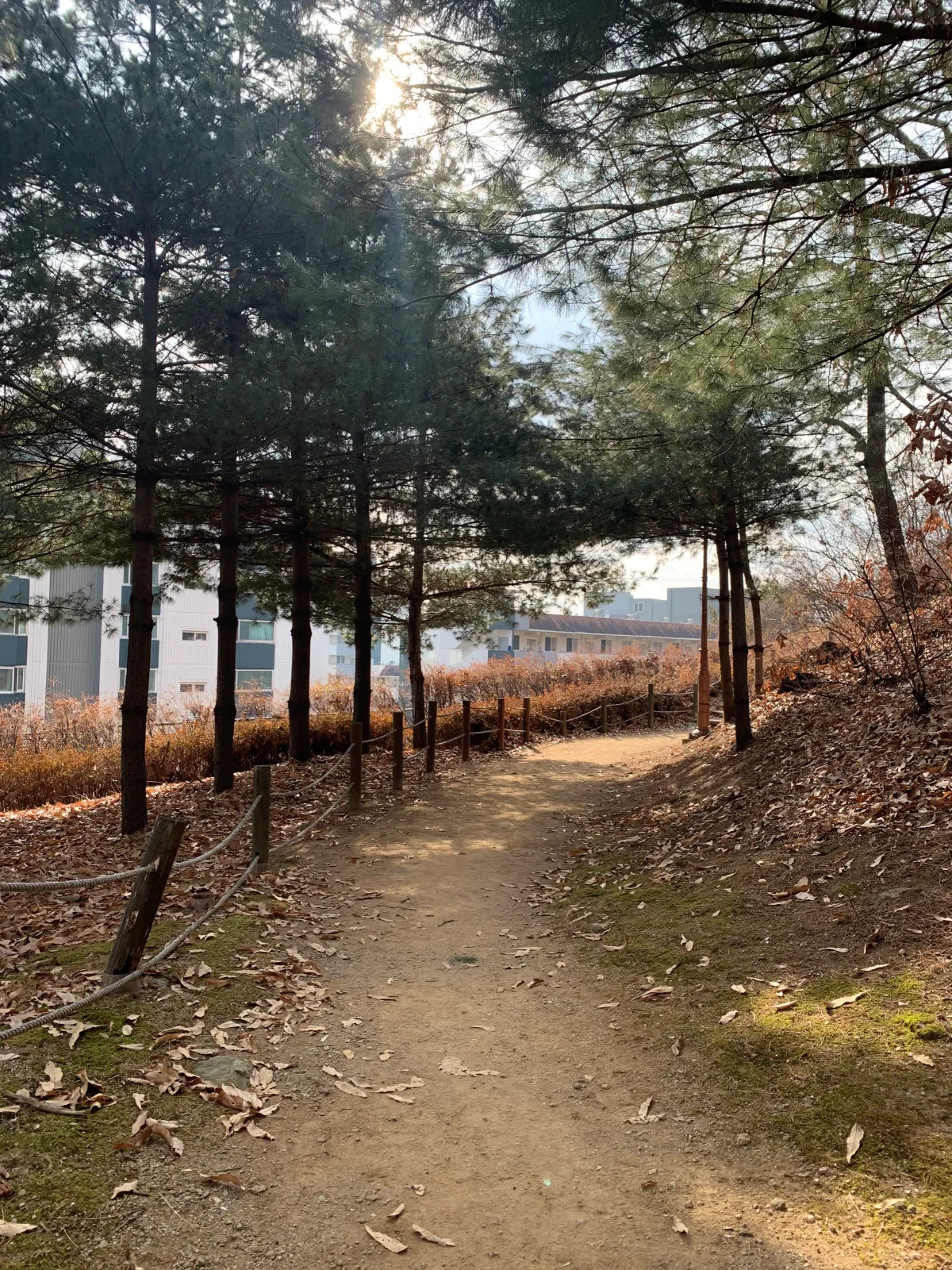 공원-산책로