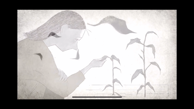 엄마가 화분의 잎이 떨어지는 것을 보면서 잎을 만지고 있어요