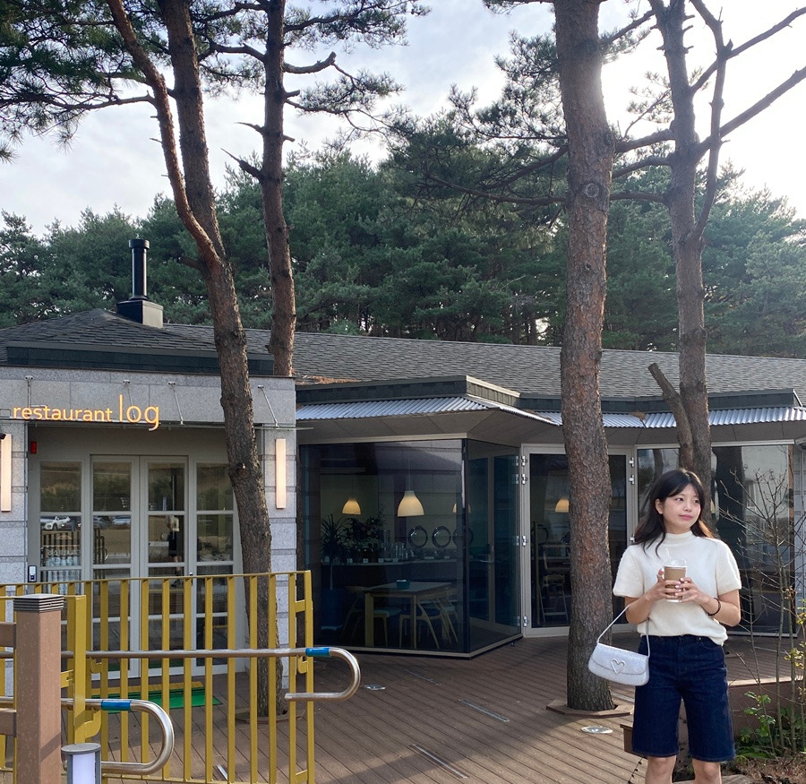 서피란 이미지