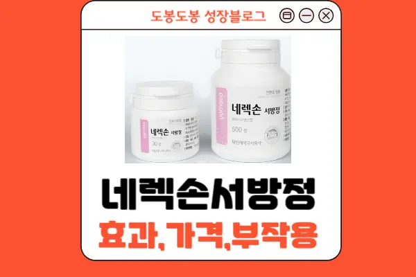 네렉손서방정 안내 이미지