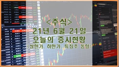  [주식] 21년 6월 21일 오늘의 증시현황 (상한가, 하한가, 특징주)
