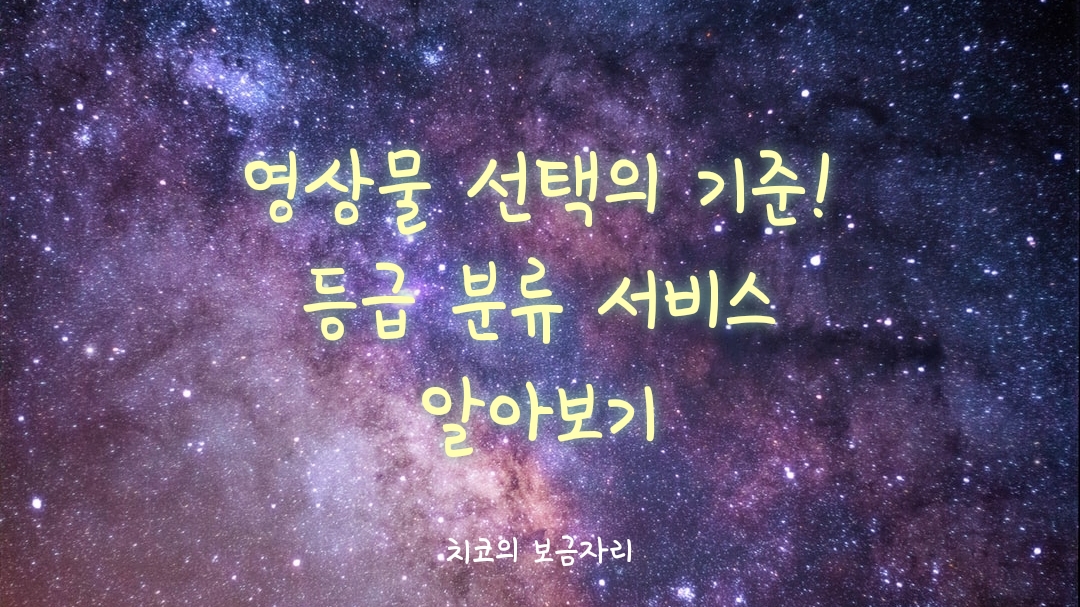 영상물 선택의 기준! 등급분류서비스 아시나요?