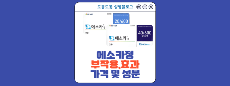 에소카정 안내 이미지