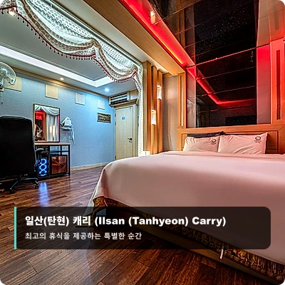 일산(탄현) 캐리 (Ilsan (Tanhyeon) Carry)_3