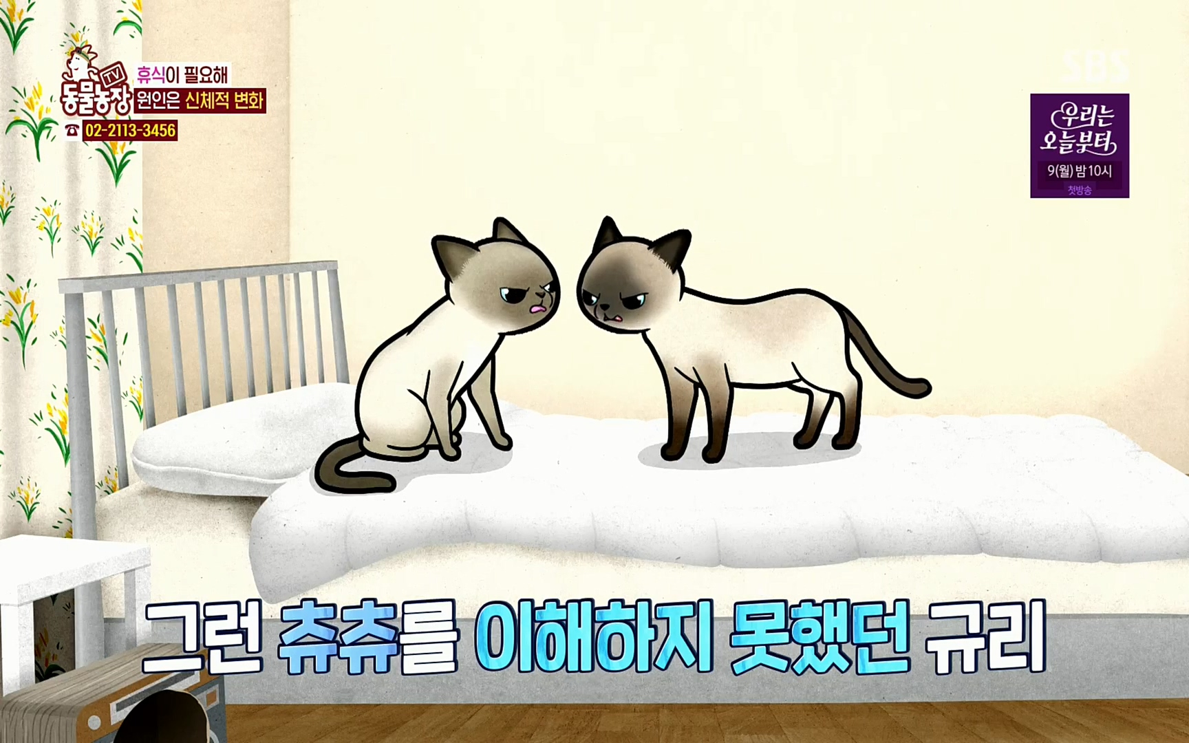 TV 동물농장.E1067.220501p.H264-F1RST.mp4_20220501_183052.447.jpg