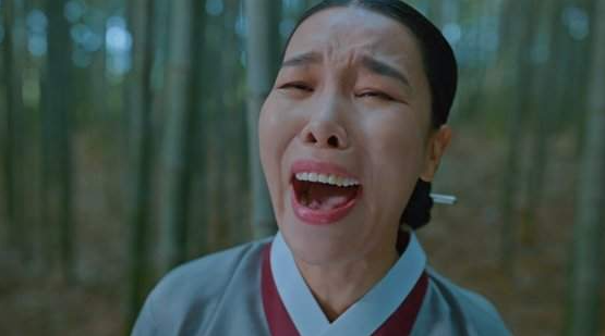  배우 차정화 프로필 나이 키 몸무게 학력 데뷔