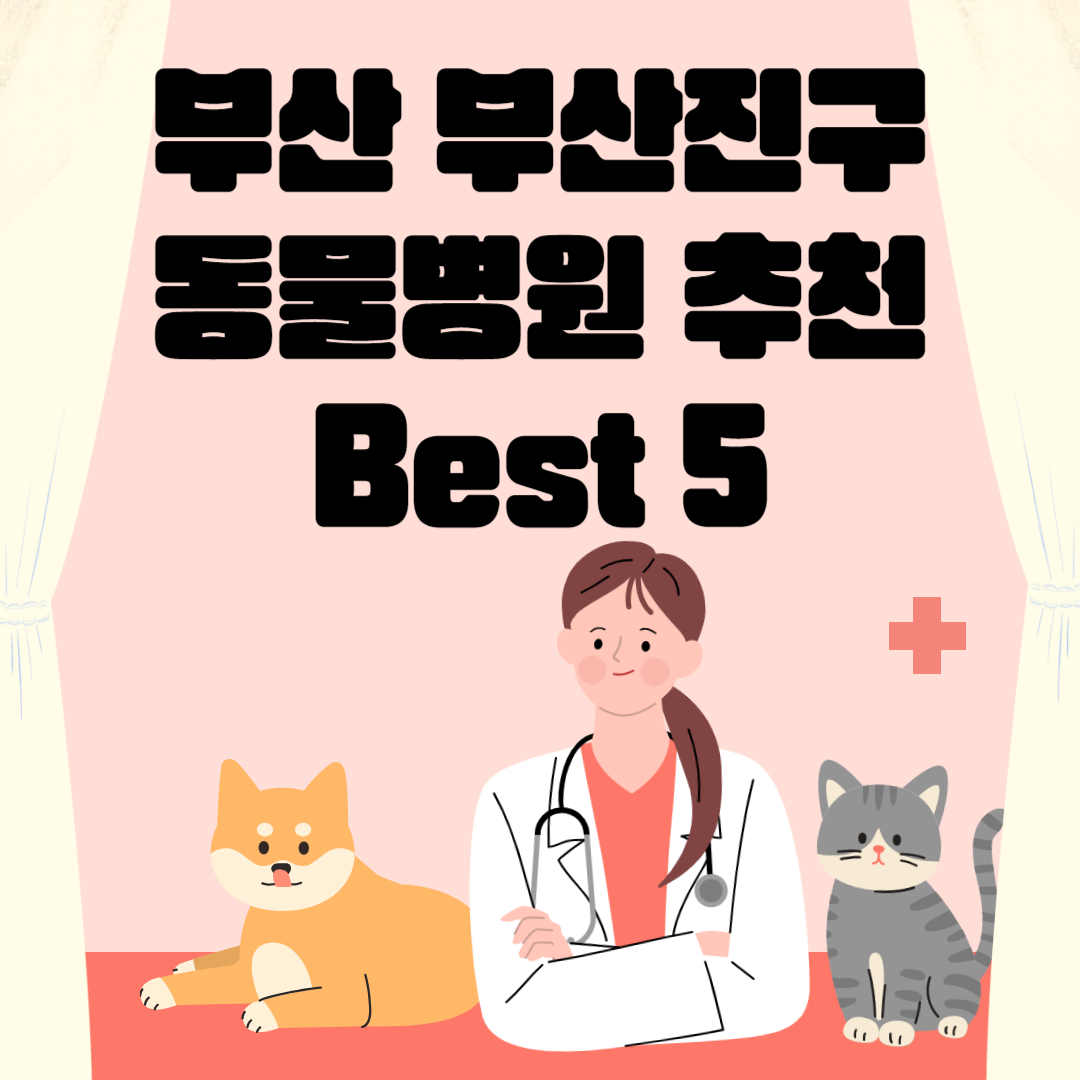부산 부산진구 동물병원 추천 Best 5 ㅣ24시간 동물병원ㅣ비용ㅣ반려동물 의료비 지원 50만원 블로그 썸내일 사진