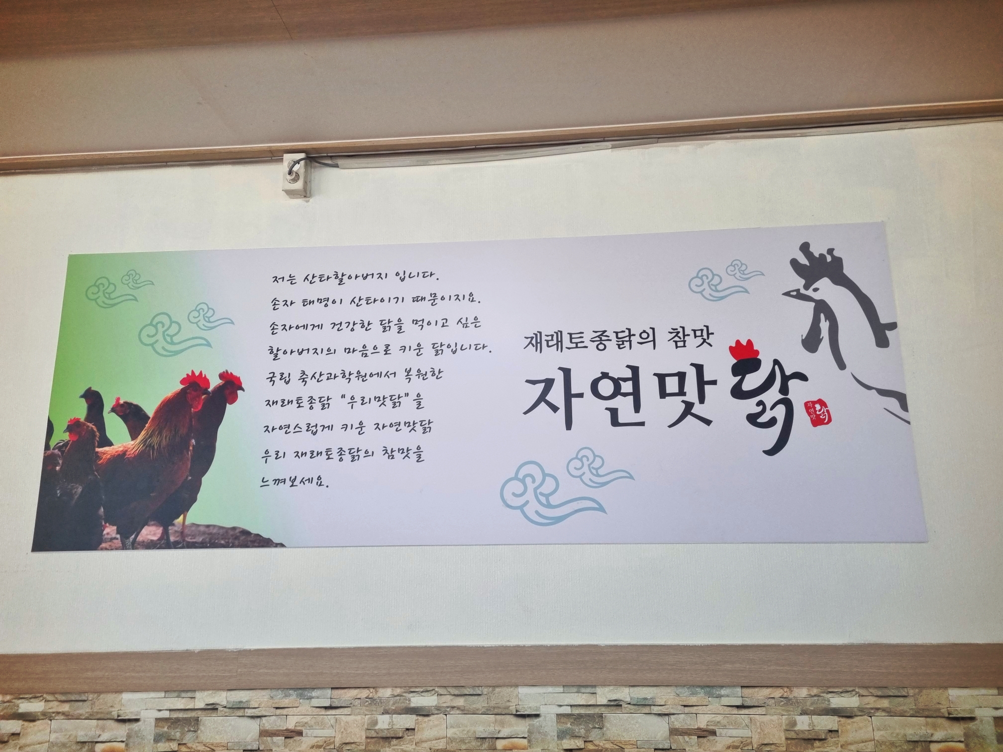 수요미식회에서소개된서산삼계탕맛집자연맛닭