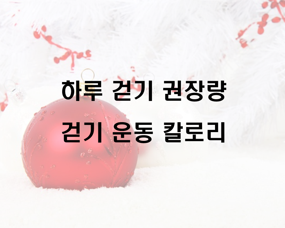  하루 걷기 권장량, 걷기 운동 칼로리 알아보기