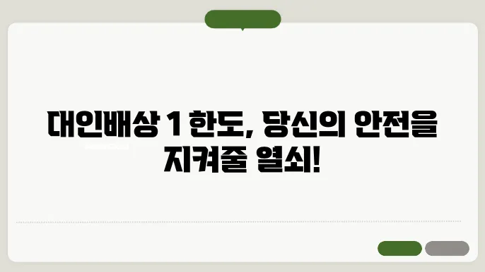 대인배상 1 한도