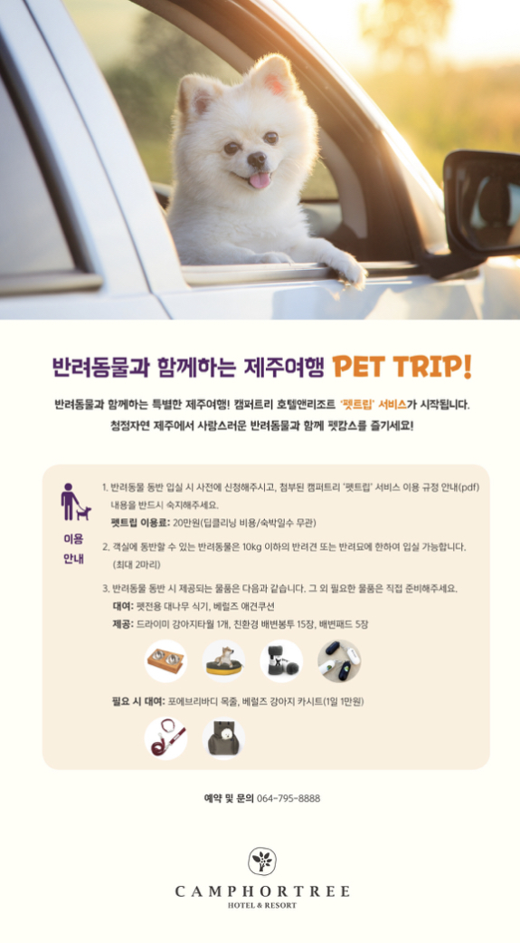 키즈캠퍼 이미지