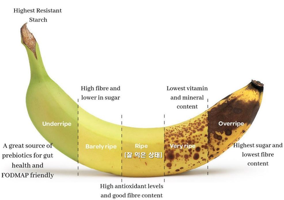 바나나 숙성 단계