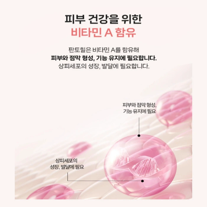 에보덤 판토힐 내돈내산 후기 부작용 효능 복용법 가격