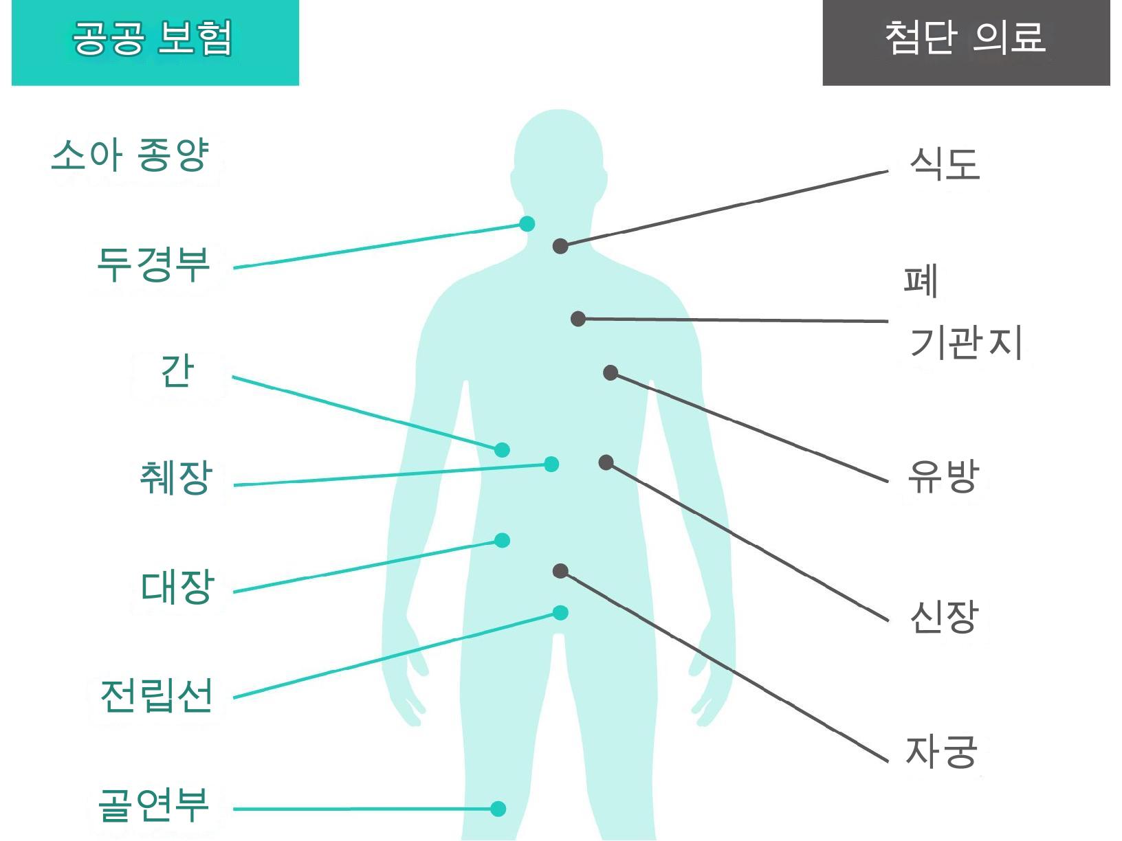 양성자 치료