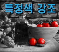  포인트 색상 툴을 이용한 특정 색상 강조 : 포토스케이프