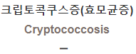  크립토콕쿠스증(효모균증) [Cryptococcosis]