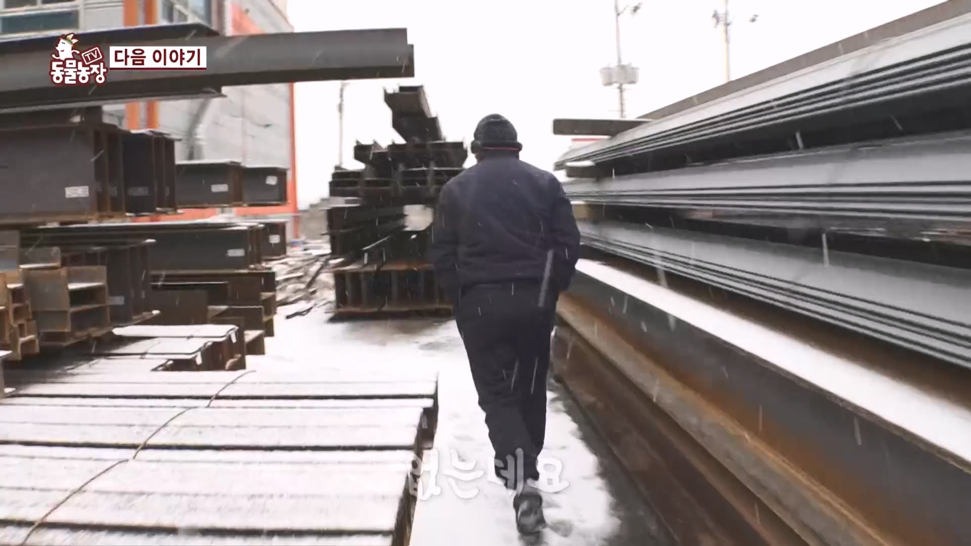 TV 동물농장.E1160.240225p.H264-F1RST.mp4_20240225_165135.900.jpg