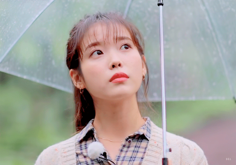  나무야나무야 아이유.gif