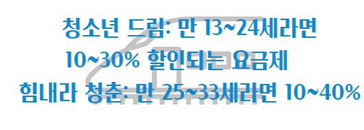 청소년 드림
